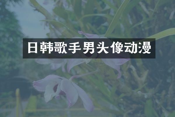 日韩歌手男头像动漫