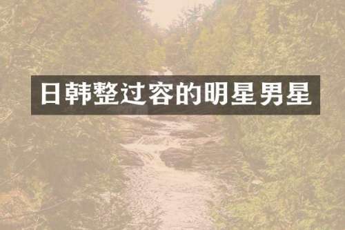 日韩整过容的明星男星