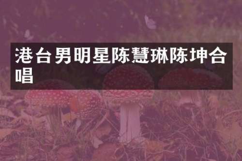 港台男明星陈慧琳陈坤合唱