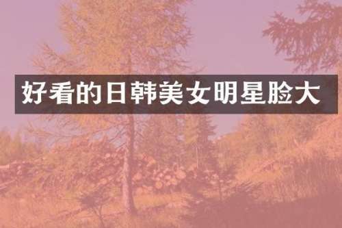 好看的日韩明星脸大
