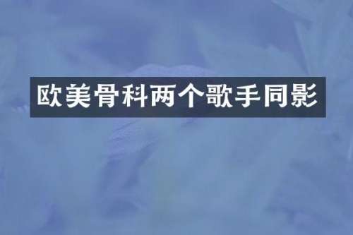 欧美骨科两个歌手同影
