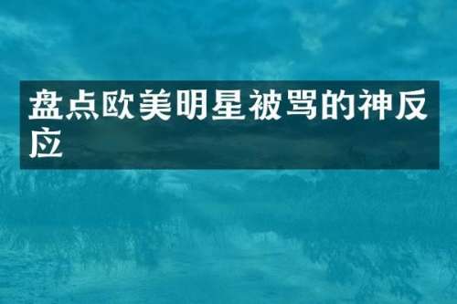 盘点欧美明星被骂的神反应