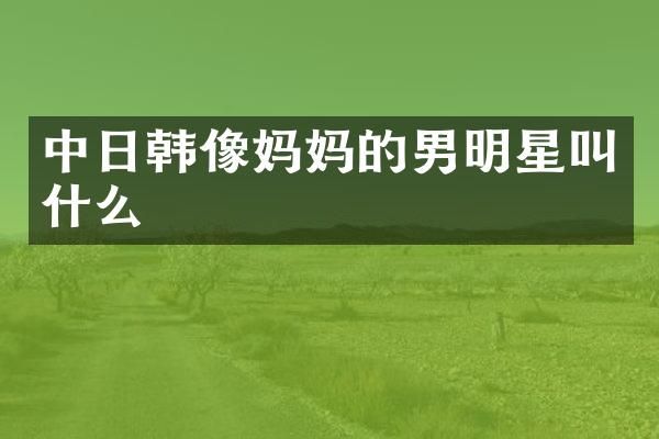 中日韩像妈男明星叫什么