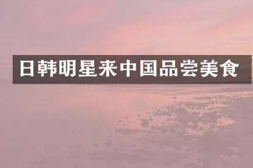 日韩明星来中国品尝美食