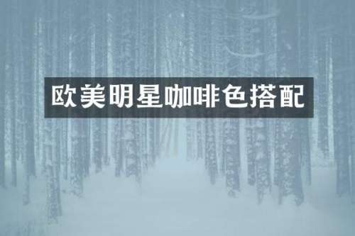 欧美明星咖啡色搭配