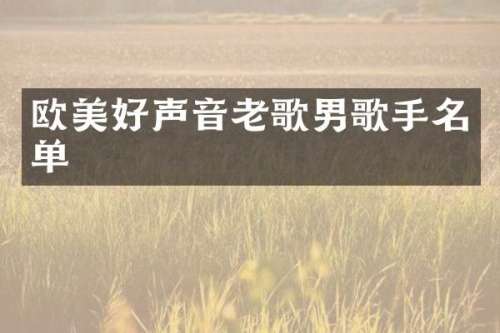 欧美好声音老歌男歌手名单