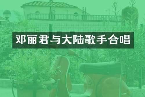 邓丽君与大陆歌手合唱