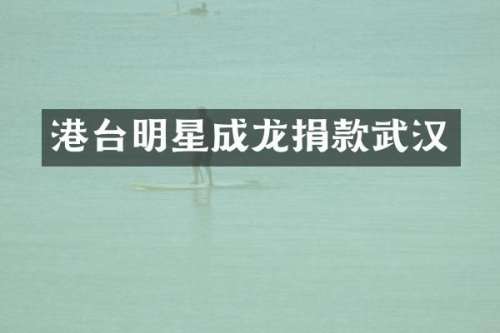 港台明星成龙捐款武汉