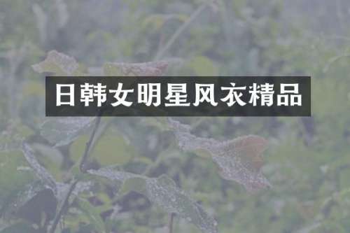 日韩女明星风衣精品