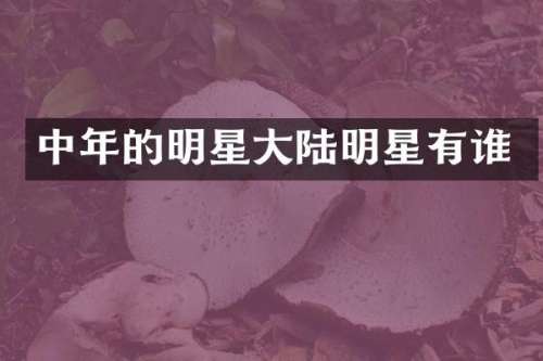 中年的明星大陆明星有谁