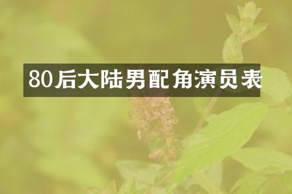 80后大陆男配角演员表