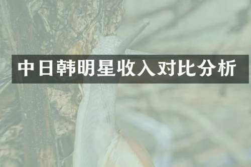 中日韩明星收入对比分析
