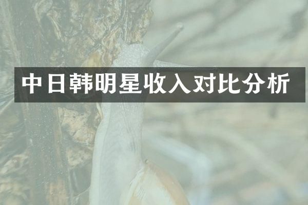 中日韩明星收入对比分析