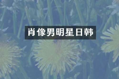 肖像男明星日韩