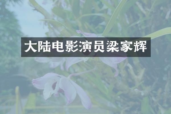大陆电影演员梁家辉