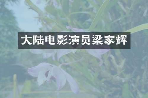 大陆电影演员梁家辉