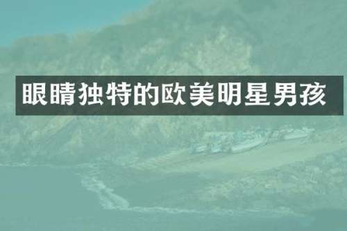 眼睛独特的欧美明星男孩