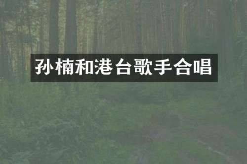 孙楠和港台歌手合唱