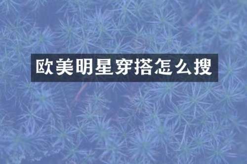 欧美明星穿搭怎么搜
