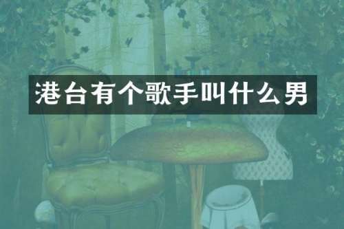 港台有个歌手叫什么男