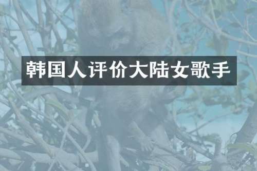 韩国人评价大陆女歌手