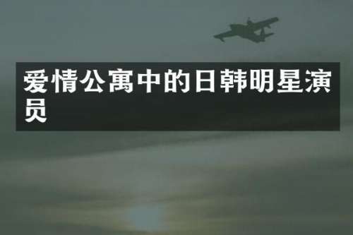 爱情公寓中的日韩明星演员