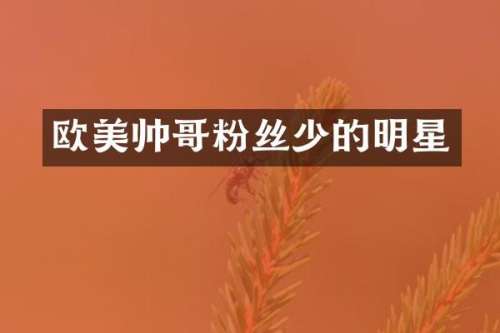 欧美帅哥粉丝少的明星