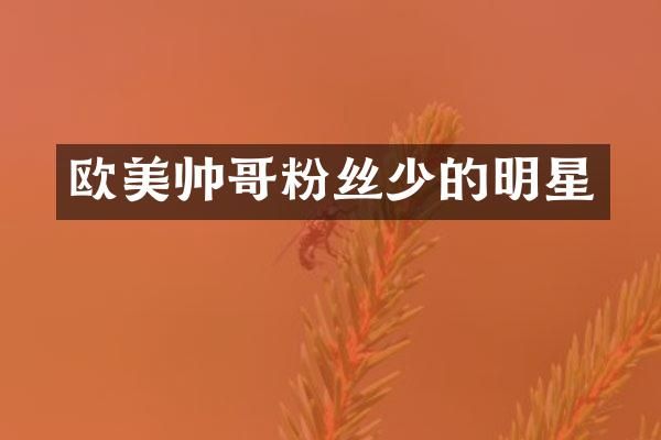 欧美帅哥粉丝少的明星