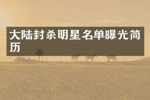 大陆封杀明星名单曝光简历