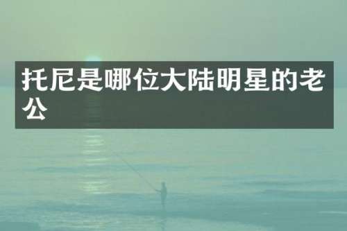 托尼是哪位大陆明星的老公