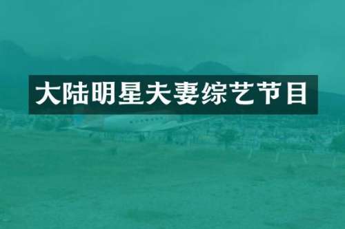 大陆明星夫妻综艺节目