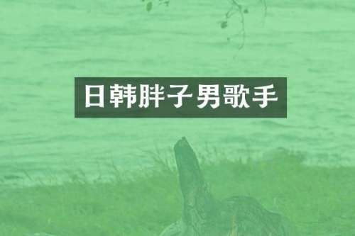 日韩胖子男歌手