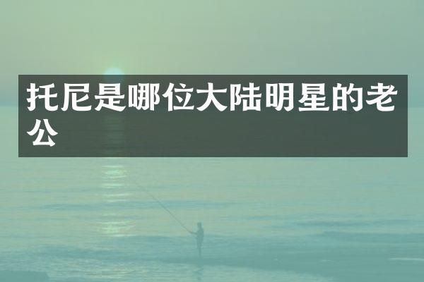 托尼是哪位大陆明星的老公