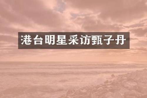 港台明星采访甄子丹