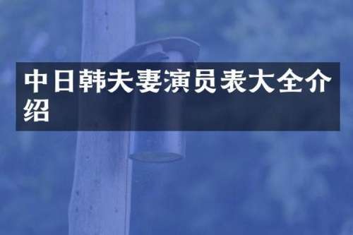 中日韩夫妻演员表大全介绍
