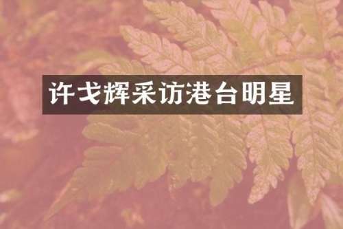 许戈辉采访港台明星