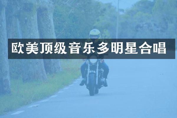 欧美顶级音乐多明星合唱