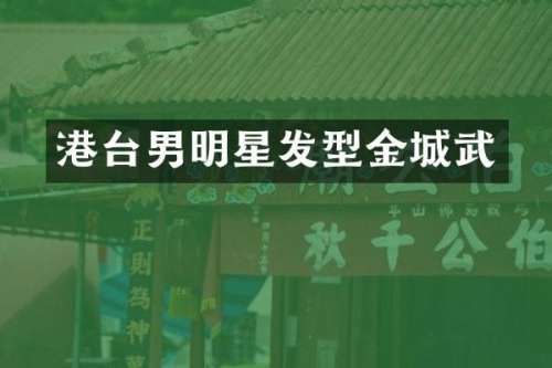 港台男明星发型金城武