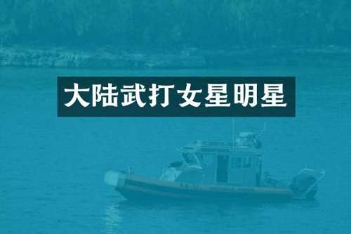 大陆武打女星明星