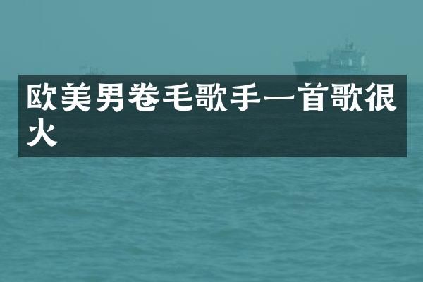 欧美男卷毛歌手一首歌很火