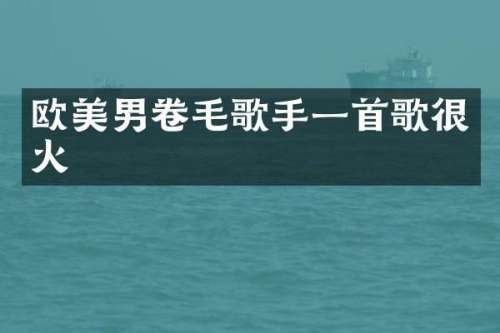 欧美男卷毛歌手一首歌很火