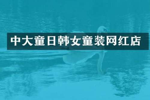 中大童日韩女童装网红店