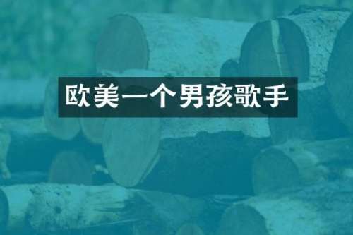 欧美一个男孩歌手