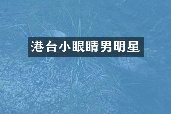 港台小眼睛男明星