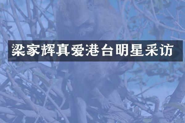 梁家辉真爱港台明星采访