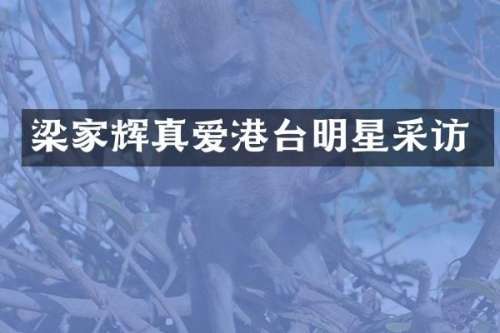梁家辉真爱港台明星采访