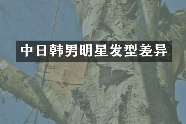 中日韩男明星发型差异