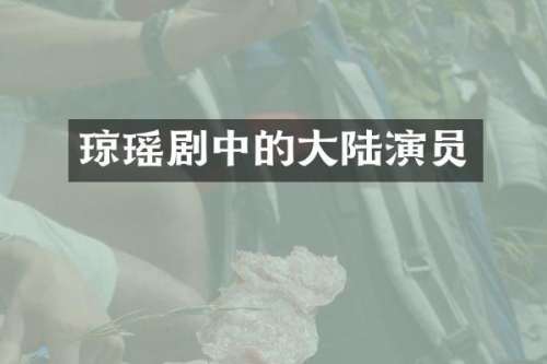 琼瑶剧中的大陆演员