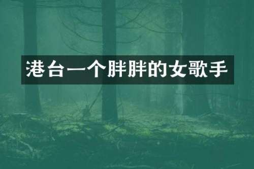 港台一个胖胖的女歌手