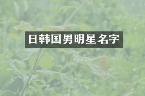 日韩国男明星名字